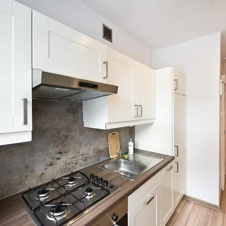 Gdanskie - Apartament Na Szerokiej I Garbary * גדנסק